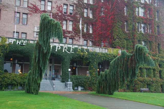 the trees in front of the empress hotel
